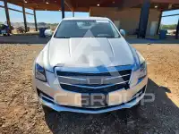 2016 Cadillac ATS фото
