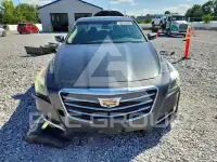 2016 Cadillac CTS фото