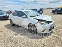 2016 Toyota COROLLA photo