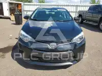 2016 Toyota COROLLA photo