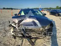 2016 Toyota AVALON фото
