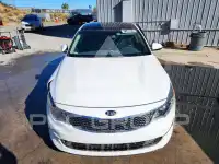 2016 KIA Optima фото