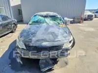 2016 KIA Optima фото