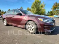 2016 KIA Optima фото
