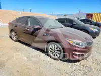 2016 KIA Optima фото