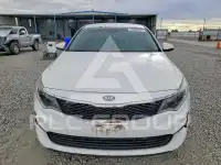 2016 KIA Optima фото