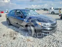 2016 KIA Optima фото