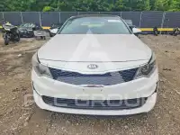 2016 KIA Optima фото