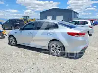 2016 KIA Optima фото