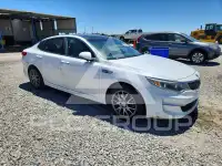 2016 KIA Optima фото