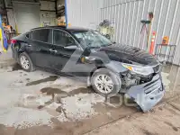 2016 KIA Optima фото
