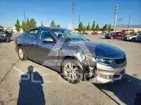 2016 KIA Optima photo