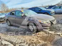 2016 KIA Optima фото