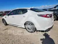 2016 KIA Optima фото