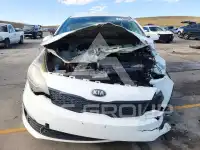 2016 KIA Rio фото
