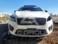 2016 KIA Sorento photo