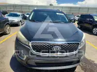 2016 KIA Sorento photo