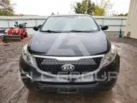 2016 KIA Sportage фото