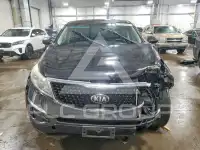 2016 KIA Sportage фото