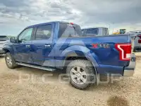 2016 Ford F-150 фото