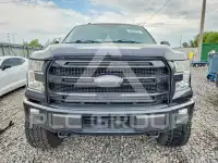 2016 Ford F-150 фото