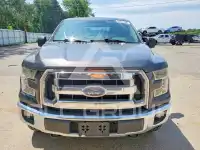 2016 Ford F-150 photo