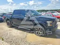 2016 Ford F-150 photo