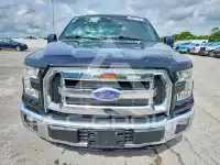 2016 Ford F-150 фото