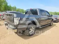 2016 Ford F-150 фото