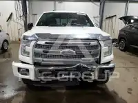 2016 Ford F-150 photo