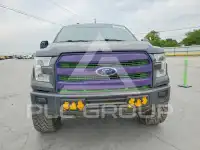 2016 Ford F-150 photo