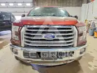 2016 Ford F-150 фото