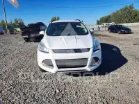 2016 Ford ESCAPE photo