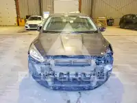 2016 Ford FOCUS фото