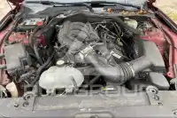 2016 Ford MUSTANG photo