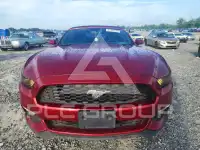 2016 Ford MUSTANG фото