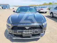 2016 Ford MUSTANG фото