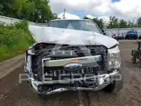 2016 Ford F-250 photo