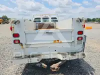2016 Ford F-250 фото