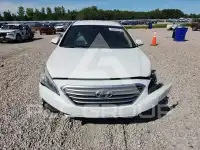 2016 Hyundai Sonata фото