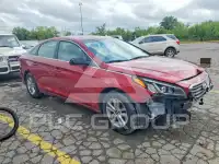 2016 Hyundai Sonata фото