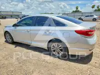 2016 Hyundai Sonata фото