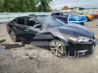 2017 Nissan MAXIMA фото