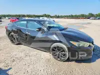 2017 Nissan MAXIMA photo