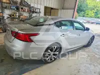 2017 Nissan MAXIMA photo