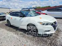 2017 Nissan MAXIMA photo