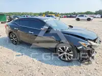 2017 Nissan MAXIMA photo