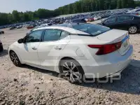 2017 Nissan MAXIMA фото