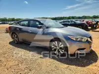 2017 Nissan MAXIMA photo