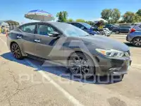 2017 Nissan MAXIMA photo